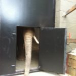 Elephant Doors Dryco