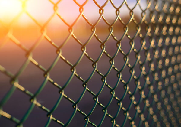 sunlight through chain link fence